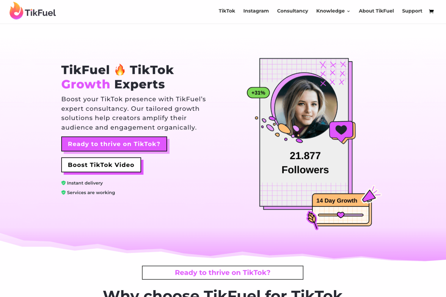 TikFuel API Delivery